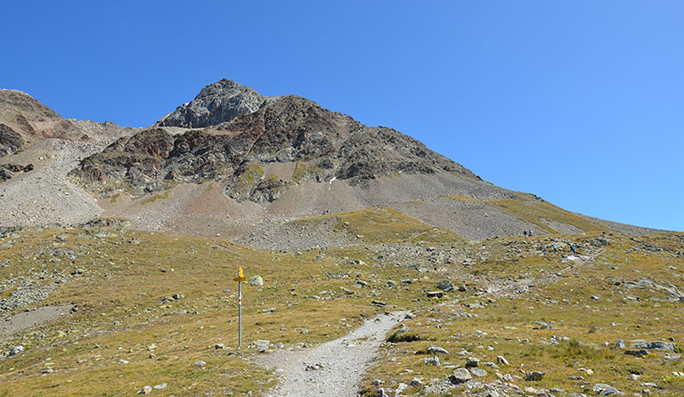 Piz Languard (3262 m)