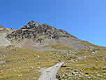 ...und steuern weiter auf den Piz Languard zu