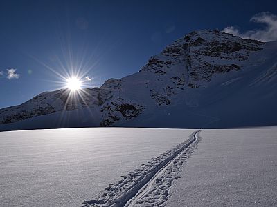 Wir tauchen wieder in den Schatten ein