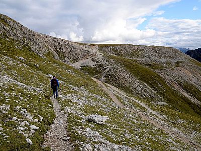 Über den Pfad erreichen wir einen breiteren Weg, der ...