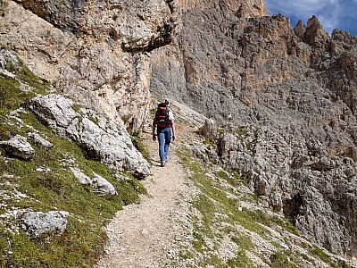 Der Steig kurz vor der Hütte