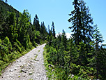 ...führt uns der Forstweg Richtung Pleisenhütte