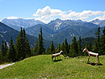 Blick zu Kleinem und Großem Solstein, zur Erlspitze und Reither Spitze