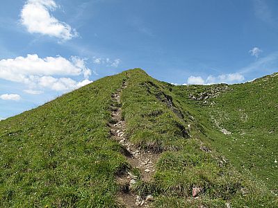 Die Pfade werden nun steiler