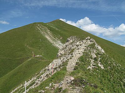 Über dieses Köpfl drüber...