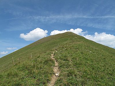 ...und über einen finalen Grashang