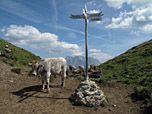 Am Sommerbergjöchle