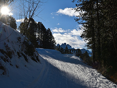 Unschwer steigen wir auf dem breiten Weg Richtung Schatzerhütte auf