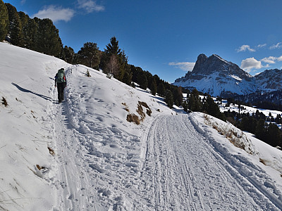 Nach vor der Schatzerhütte zweigt die Spur nach links ab