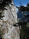 Rückblick