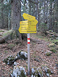 ...erreichen wir den Abzweig zur Reiter Alm