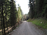 Über einen langezogenen Forstweg wandern wir zurück nach Reit
