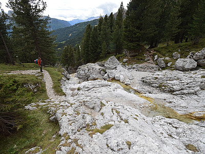 ... und folgen dem Bachlauf weiter bergab.