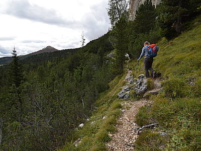 Allmählich wird der Weg wieder flacher ... 