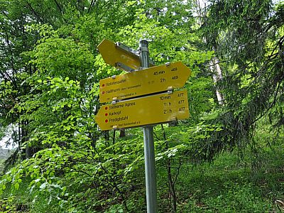 Wegweiser kurz vor der Steinernen Agnes