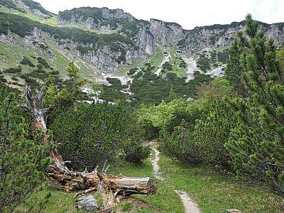 Wir halten uns nach Norden...