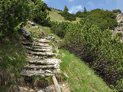 ... und gewinnen schnell an Höhe.