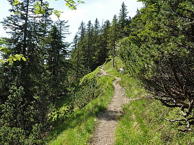 Der Weg führt südlich am Schreck (1725 m) vorbei.