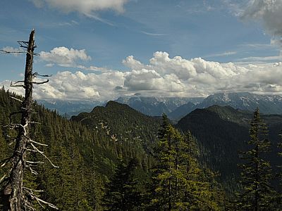 Blick nach Süden zum Törlkopf (1704 m)