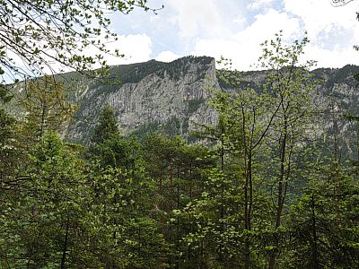 Blick nach Osten zum Untersberg