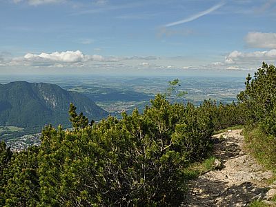 Durch die Latschen geht es ...