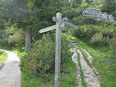 Rechts geht es zum Gipfel des Predigtstuhl