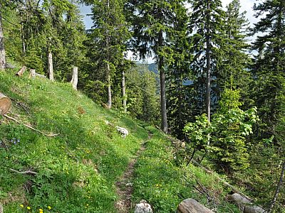 Der Pfad führt uns...