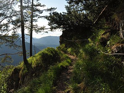 ... bevor der Waxriessteig beginnt.