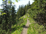Der Weg führt südlich am Schreck (1725 m) vorbei.
