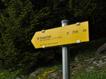 ... zum Saalachsee.