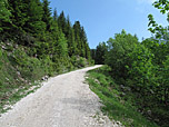 Zuerst über einen breiten Forstweg...