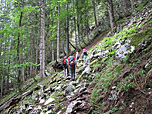 Hangquerung im Wald...