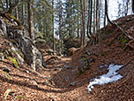 Ein Waldpfad bringt uns schließlich...