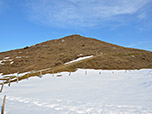 Blick von der Alm zum Prostkogel