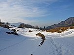 Dort schlagen wir den Weg zur Sprissleralm ein