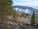 ...hinunter zum Forstweg, den wir vom Aufstieg schon kennen
