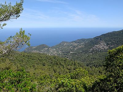 Tief unter uns die Ortschaft Estellencs