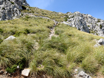Anfangs steil durch Wiese,