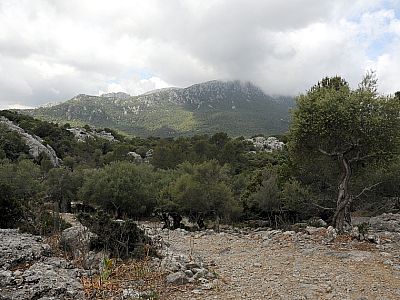 Der Puig Tomir versteckt sich in den Wolken