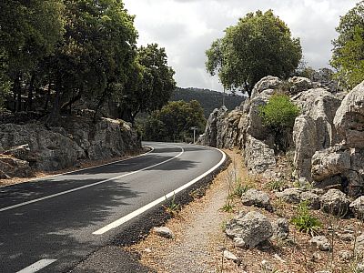 auf der wir etwa 100 Meter nach rechts südöstlich spazieren...
