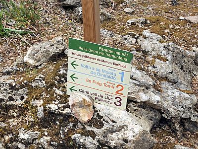 ... und folgen dem geteerten Weg Nummer zwei, weiter zum Puig Tomir