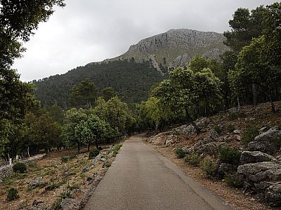 Weiter auf der Straße geht es  direkt auf den Puig Tomir zu