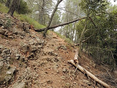 ... steigen nach Nordosten, nun deutlich steiler ...