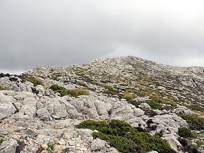 ... auf den Gipfel des  Puig Tomir zu.