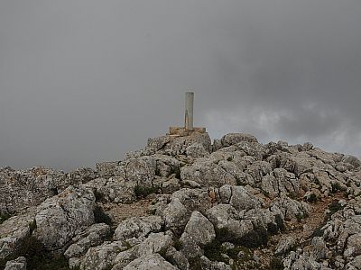 Der Gipfel des Puig Tomir 