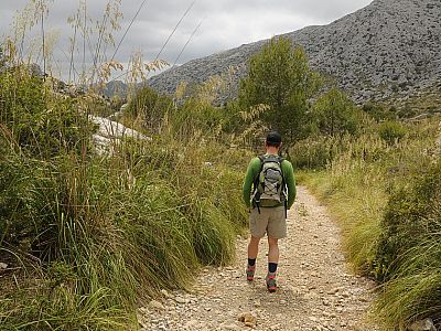 Meterhoch ist das Gras neben dem Weg gewachsen