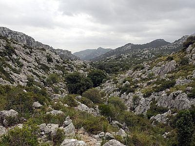 Einsam zieht sich der kaum mehr sichtbare Pfad durch das kleine Tal