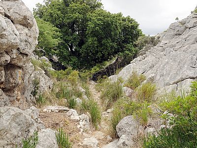 Unter einem Baum machen wir eine Pause... 