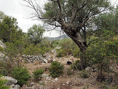 Weiter geht es durch die karge Landschaft nach Südwesten