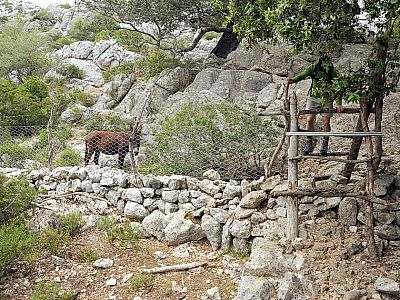 ... den wir an einem weiteren Übergang verlassen müssen.